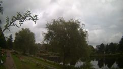 Rosarium Webcam