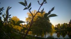 Rosarium Webcam