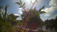 Rosarium Webcam
