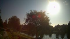 Rosarium Webcam
