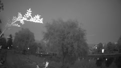 Rosarium Webcam