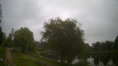 Rosarium Webcam