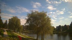Rosarium Webcam