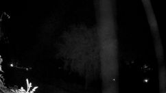 Rosarium Webcam