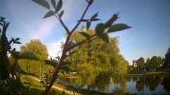 Rosarium Webcam