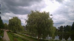 Rosarium Webcam