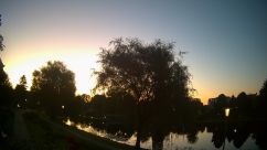 Rosarium Webcam