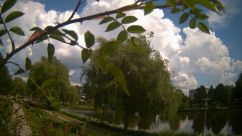 Rosarium Webcam