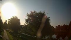 Rosarium Webcam