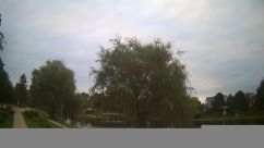 Rosarium Webcam