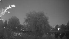 Rosarium Webcam