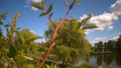 Rosarium Webcam