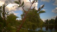 Rosarium Webcam