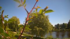 Rosarium Webcam