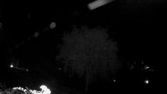 Rosarium Webcam