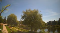 Rosarium Webcam