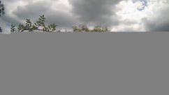 Rosarium Webcam
