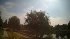 Rosarium Webcam