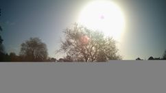 Rosarium Webcam