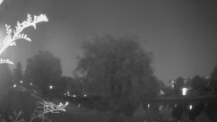 Rosarium Webcam