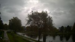 Rosarium Webcam