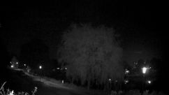 Rosarium Webcam