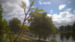 Rosarium Webcam