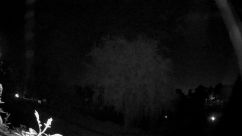 Rosarium Webcam