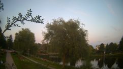 Rosarium Webcam