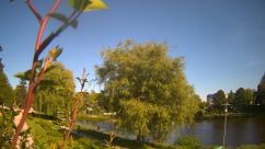 Rosarium Webcam
