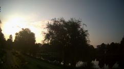 Rosarium Webcam