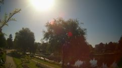 Rosarium Webcam