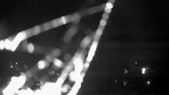 Rosarium Webcam