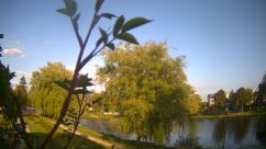Rosarium Webcam