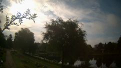 Rosarium Webcam