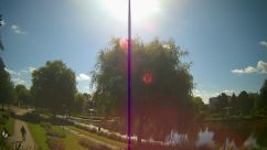Rosarium Webcam