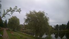 Rosarium Webcam