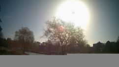 Rosarium Webcam