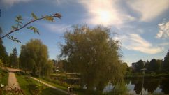 Rosarium Webcam