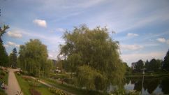 Rosarium Webcam