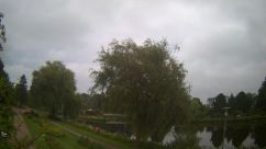 Rosarium Webcam