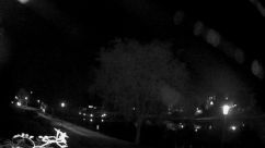 Rosarium Webcam