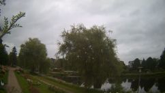 Rosarium Webcam